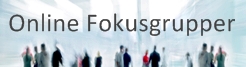 Online fokusgrupper